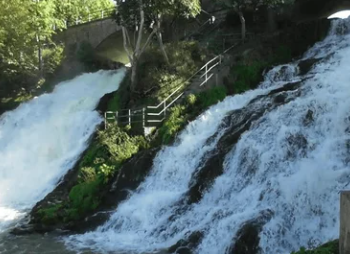 L'Eifel - découvrir la nature